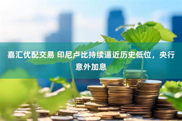 嘉汇优配交易 印尼卢比持续逼近历史低位，央行意外加息