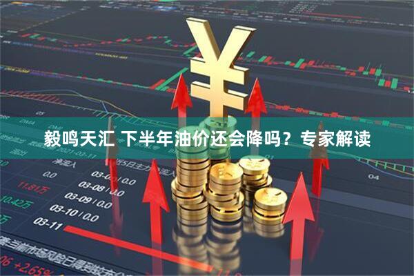 毅鸣天汇 下半年油价还会降吗？专家解读