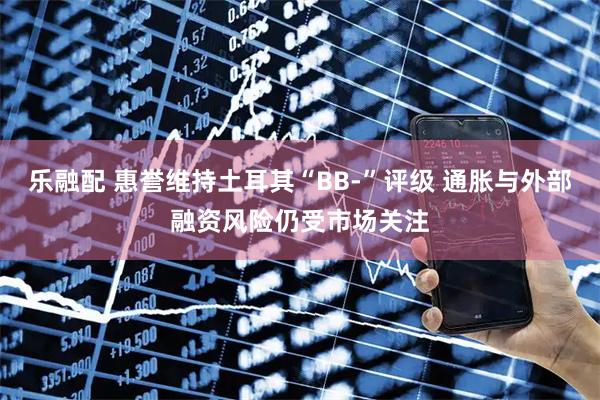 乐融配 惠誉维持土耳其“BB-”评级 通胀与外部融资风险仍受市场关注